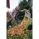thumbnail image 3 of Carro de Arrastre Jardin, 3 of 3