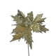 thumbnail image 2 of Poinsettia Dorada Clara 27cm, 2 of 3