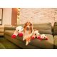 thumbnail image 2 of Juguete de peluche para perros, HDP, con chirriador, 60 cm, para perros grandes, 2 of 2