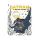 thumbnail image 1 of LIBRO BATMAN. EL LIBRO OFICIAL DE COLOREAR /373, 1 of 2