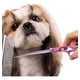 thumbnail image 2 of Set De Tijeras Profesionales Para Aseo De Mascotas Lau, 2 of 3