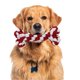 thumbnail image 4 of Mordedor para Cachorros Forma de Hueso Cuerda para Masticar Perro Duradera Algodón Trenzado Limpieza de Dientes Cuerda Rojo Blanco, 4 of 7