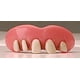 thumbnail image 2 of Dientes de Broma Billy-Bob - Estilos Variados, 2 of 2