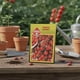 thumbnail image 4 of Semillas Las Encinas Tomate Cherry Rojo para Huerto, 4 of 5
