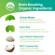 thumbnail image 3 of Té Brain Focus & Memory Orgánico 30 sobres Sin cafeína, 3 of 9