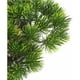 thumbnail image 3 of Árbol bonsái artificial, planta falsa decorativa, plantas artificiales en maceta, bonsái de pino japonés, planta alta para decoración del hogar, 3 of 4