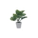 thumbnail image 1 of Planta Artificial Concepts Life para decorar tu hogar, 1 of 2
