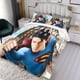 thumbnail image 3 of Superman Conjunto de sábanas temático, trío de piezas, cómodo y amigable con la piel, diseño único, regalo de decoración para el hogar para familiares, amigos y fans,140cm *210cm, 3 of 6