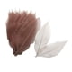 thumbnail image 3 of Set 100 Hojas de Esqueleto Magnolia Natural Fiocias Café, 3 of 5