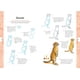thumbnail image 2 of Dibujar en 10 pasos: Animales Adorables, 2 of 4