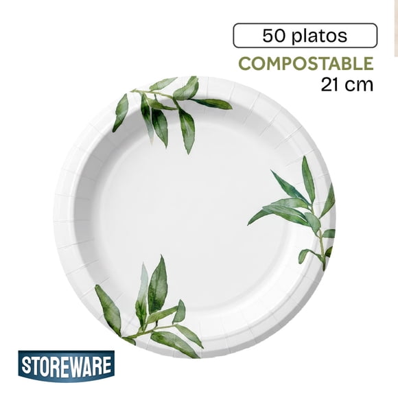 Platos de Papel 21 cm 50 un Desechables Cumpleaños Storeware