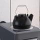 thumbnail image 3 of Plancha humidificadora Fire Beauty Fire Beauty, hierro fundido, 2,5 L, 3 of 9