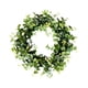 thumbnail image 3 of Guirnalda De Hojas Verdes Colgante Floral Romántico Para Puertas Delanteras Tienda Ventanas Estilo D, 3 of 4