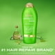 thumbnail image 2 of Champú OGX Extra Strength Refreshing Scalp + Rosemary Mint 750 ml, 2 of 3