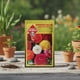 thumbnail image 3 of Semillas Ranunculus Colores Intensos - Las Encinas, 3 of 4