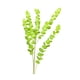 thumbnail image 2 of Flor Artificial Eucalipto Artificial Flores Decorativas 90cm, 2 of 2