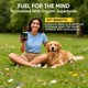 thumbnail image 2 of Suplemento para perros ELSORY Neurochew para la salud cerebral, 60 masticables, 2 of 7