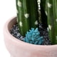 thumbnail image 2 of Cactus Artificial 26Cm, 2 of 4