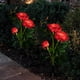 thumbnail image 1 of Luces solares para jardín, decoración navideña, luces solares con rosas y 6 rosas, impermeables, para jardín, patio, camino, paquete de 2, 1 of 6