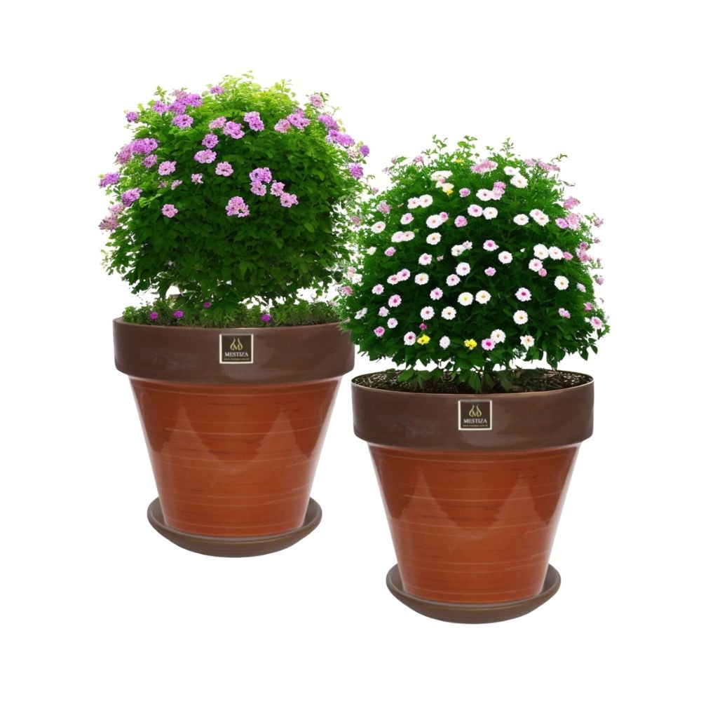 Mestiza - Set De 2 Maceta Kony 24cm Morena Mamey Y Sus Platos