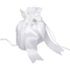 thumbnail image 3 of La Dama De Honor De La Boda Bolsa De Raso De Novia Bolsa De Carro Diamante Blanco, 3 of 4