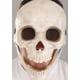 thumbnail image 4 of Máscara divertida para mover la boca con forma de calavera brillante, tamaño estándar, 4 of 6