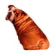 thumbnail image 2 of Animales Perro Patrón Felpa Cojín Cojín Lavable Estilo E, 2 of 5