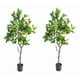 thumbnail image 2 of Planta Artificial Decorativa Árbol Limón Adorno Jhn, 2 of 3