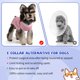 thumbnail image 5 of Traje de recuperación para perros Pawcomon, ropa quirúrgica anti lamido, 5 of 6