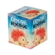 thumbnail image 2 of Kit de Crecimiento de Cristales Erizo Schylling, 2 of 2