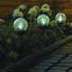 thumbnail image 2 of Lámpara Solar Craqu, 2 of 2