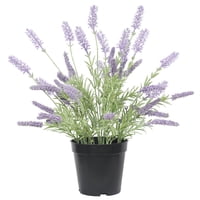 Vadell Home - Lavanda Lila De 35 Cm En Macetero