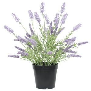 Vadell Home - Lavanda Lila De 35 Cm En Macetero