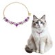 thumbnail image 1 of Collar para Perros Uxcell, Cadena de Oro Mascotas Perlas Ajustable Cristales de Cristal Gatos Boda Collar de Metal Accesorios 20 Pulgadas, (Púrpura), Para Taza de Té / Gatito / Mascota Pequeña, 1 of 7