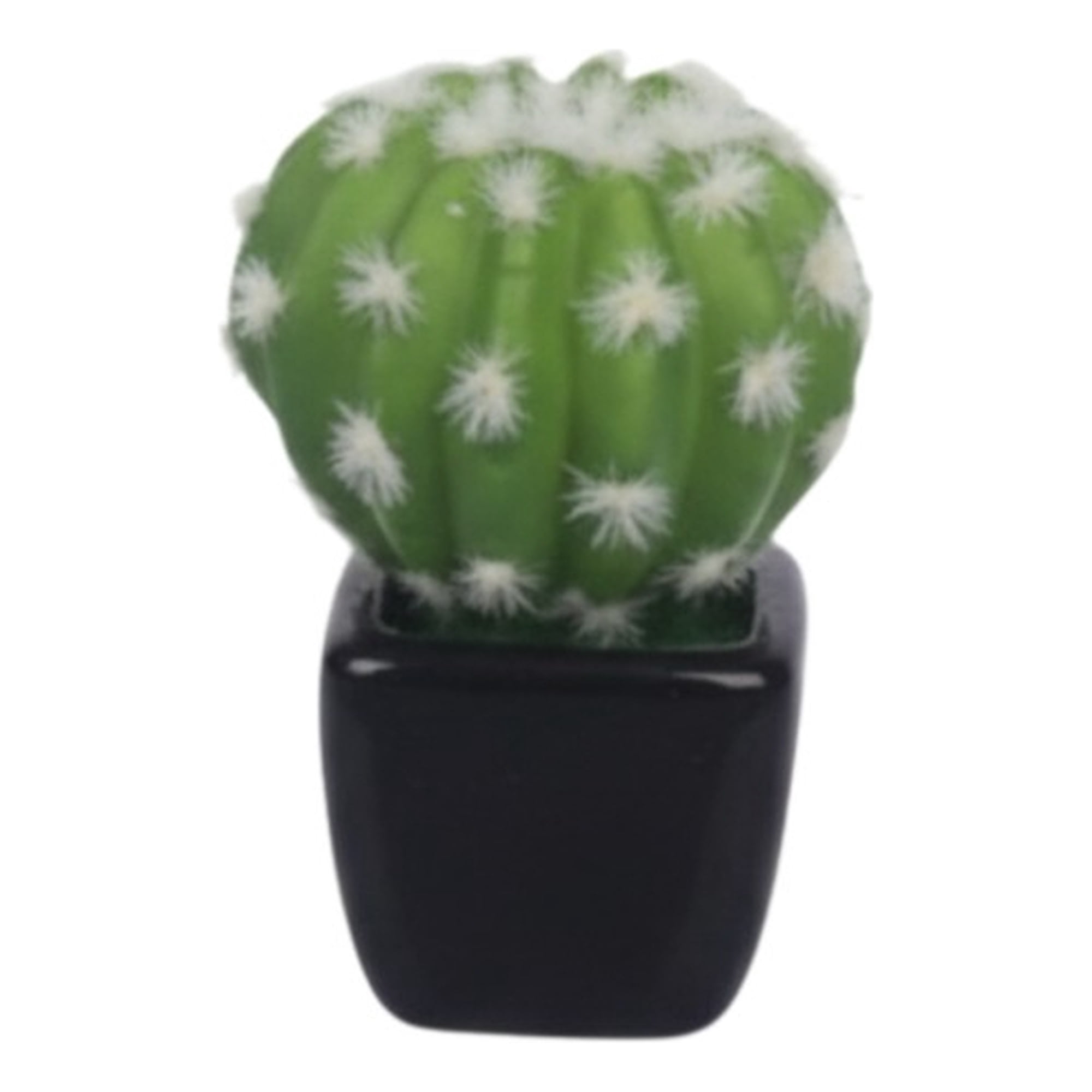 Genérico - Set 2 Planta Decorativa Artificial Cactus Minimalista Jhn