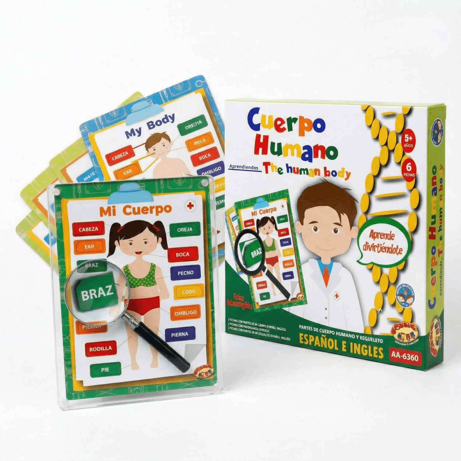 Juego Educativo Juego Educativo Cuerpo Humano - Toyng
