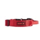 thumbnail image 1 of Collar para perro KONG mediano rojo 36-51 cm con asa acolchada, 1 of 5