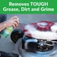 thumbnail image 3 of Espuma multiusos Cleaner Simple Green, 600 ml (paquete de 2), 3 of 7