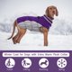 thumbnail image 2 of Abrigo para perro FUAMEY, impermeable, resistente al viento, color morado, XS, 2 of 2