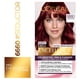 thumbnail image 1 of Coloración Cabello Excellence Extra Profundos 6660 Rubio Oscuro Rojizo Profundo, 1 Un, 1 of 1