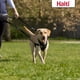thumbnail image 4 of Correa de entrenamiento The Company of Animals HALTI Multifunctional, 4 of 5