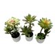 thumbnail image 5 of Mini Suculentas Decorativas Artificiales Con Macetero 3 Uni., 5 of 5