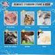 thumbnail image 2 of Detergente En Polvo Enzimático 2 Lb Quita Olores Mascotas, 2 of 3