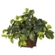 thumbnail image 1 of Planta artificial de pothos casi naturales con maceta de cuerda enrollada, 1 of 3