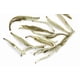 thumbnail image 2 of Té Jasmine Silver Needle 43 gr, 2 of 2
