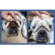 thumbnail image 2 of Pasta antiarrugas Squishface Bulldog French Bulldog Pug 60 ml, 2 of 3