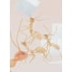 thumbnail image 5 of El Animal Espiritual. Y Cómo Encontrarlo, 5 of 9