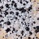 thumbnail image 1 of 3200pcs Sparkling Rhinestone Pearl Beads for DIY Jewelry Making and Nail Art, 1 of 5