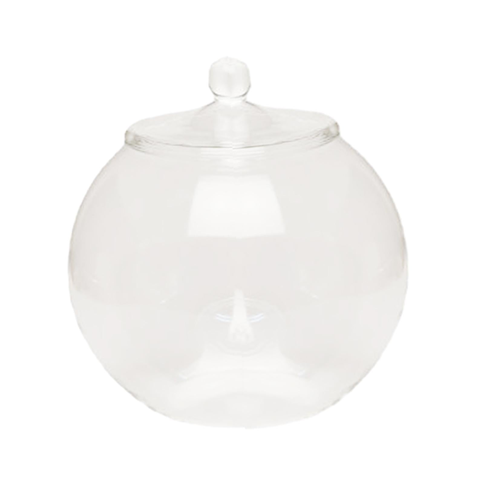 Magideal - Jarrón Con Micropaisaje, Botella, Terrario De Cristal, Tarro De Almacenamiento Sellado, Contenedor De Plantas De Vidrio, Macetero Para Escritorio, Car