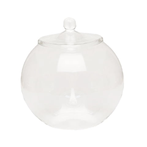 Magideal - Jarrón Con Micropaisaje, Botella, Terrario De Cristal, Tarro De Almacenamiento Sellado, Contenedor De Plantas De Vidrio, Macetero Para Escritorio, Car